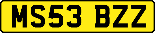 MS53BZZ
