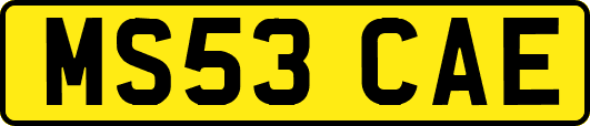 MS53CAE