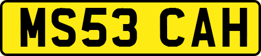 MS53CAH