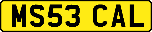MS53CAL