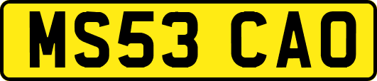 MS53CAO