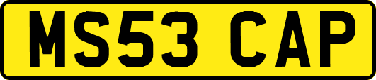 MS53CAP