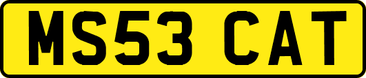 MS53CAT
