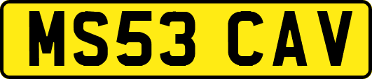 MS53CAV
