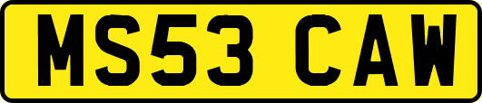 MS53CAW