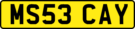 MS53CAY