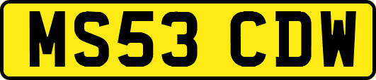 MS53CDW