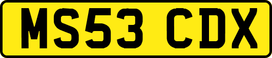 MS53CDX