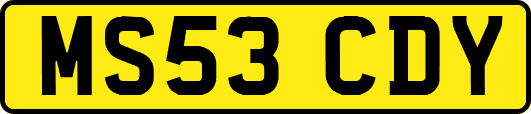 MS53CDY