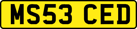 MS53CED