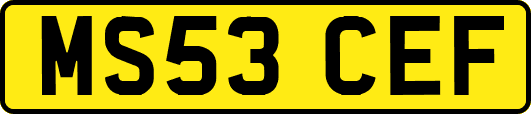 MS53CEF