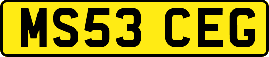 MS53CEG