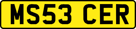 MS53CER