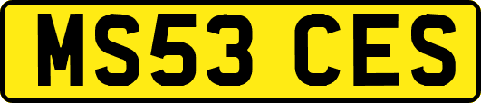 MS53CES