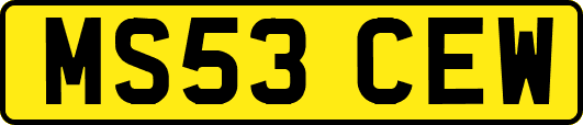 MS53CEW