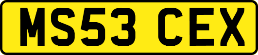 MS53CEX