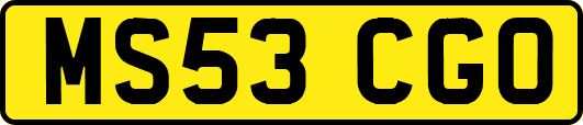 MS53CGO