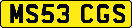 MS53CGS