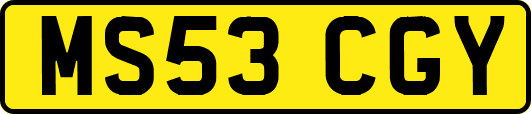 MS53CGY