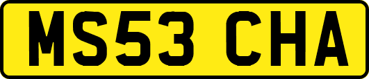 MS53CHA