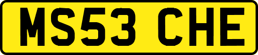 MS53CHE