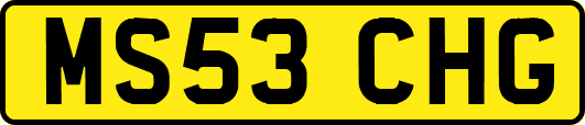 MS53CHG
