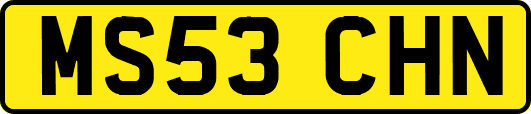 MS53CHN