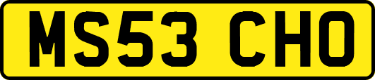 MS53CHO