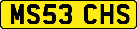 MS53CHS