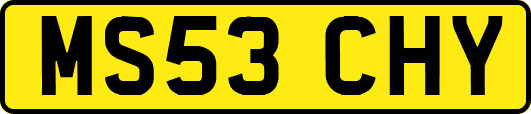 MS53CHY