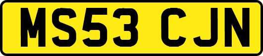 MS53CJN