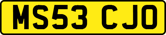 MS53CJO