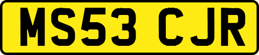MS53CJR
