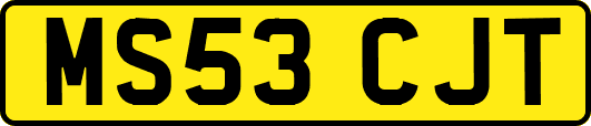 MS53CJT