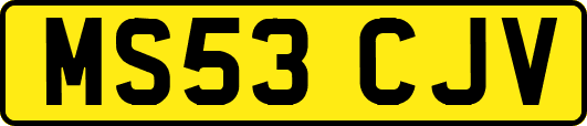 MS53CJV