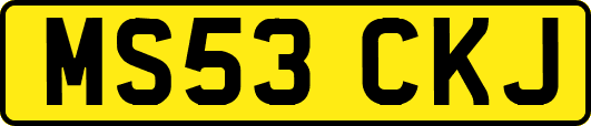MS53CKJ