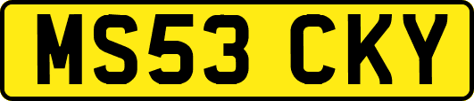 MS53CKY