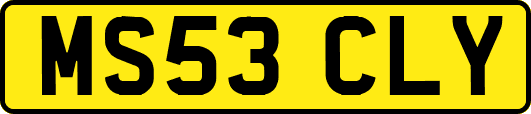 MS53CLY
