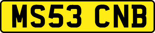 MS53CNB
