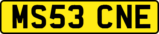 MS53CNE