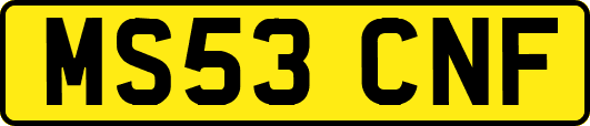 MS53CNF