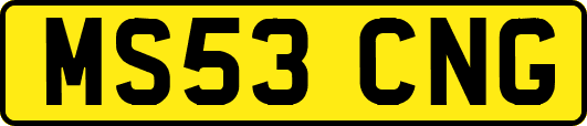 MS53CNG