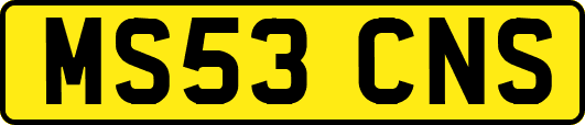 MS53CNS