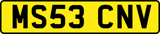 MS53CNV