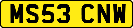 MS53CNW