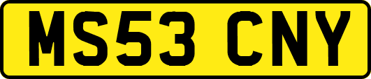 MS53CNY