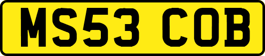 MS53COB