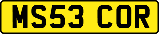 MS53COR