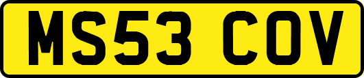 MS53COV