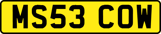 MS53COW